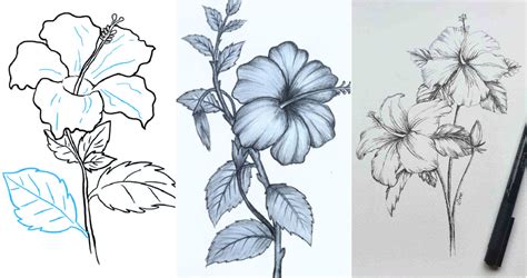 Image result for Flower Drawing Tutorial