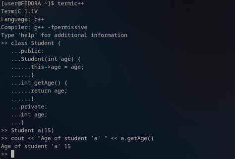 Sample VirtualBox Terminal for C Compiler に対する画像結果