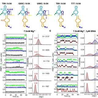 Image result for Stem Coupling Assembly