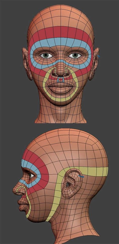 Image result for Blender Head Topology