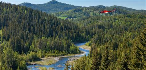 Image result for What Is Dimape