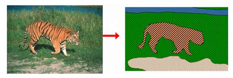 Image result for Spatial Filtering in Image Processing DNN
