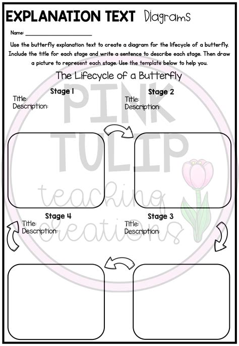 Image result for Explanation Text Worksheet