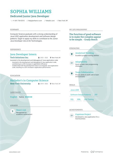 Image result for Junior Java Developer CV