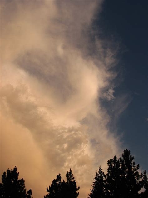 Syntax for Struct Type and Struct Field Syntax എന്നതിനുള്ള ഇമേജ് ഫലം