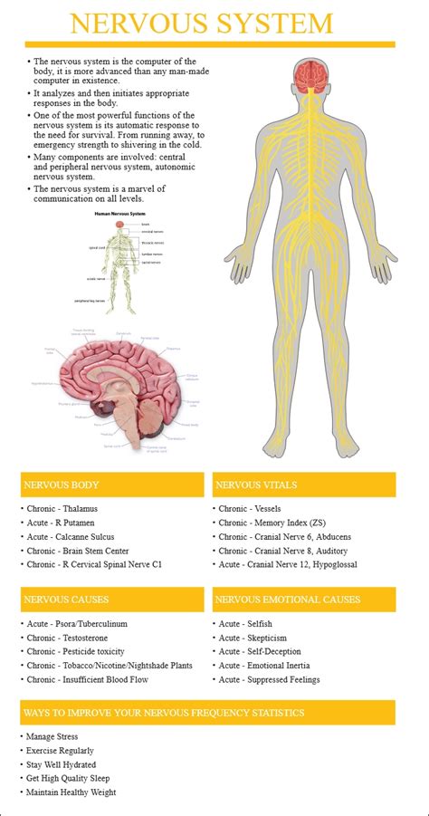 Afbeeldingsresultaten voor System Scan Report Introduction
