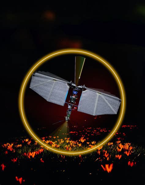 Image result for Drone with Flapping Wings