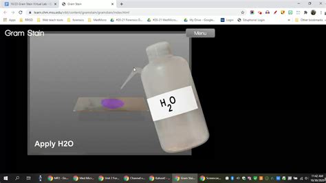 Image result for Gram Stain Virtual Lab