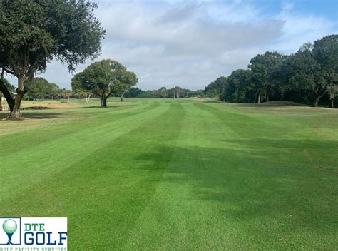 Image result for EFL Golf Turf