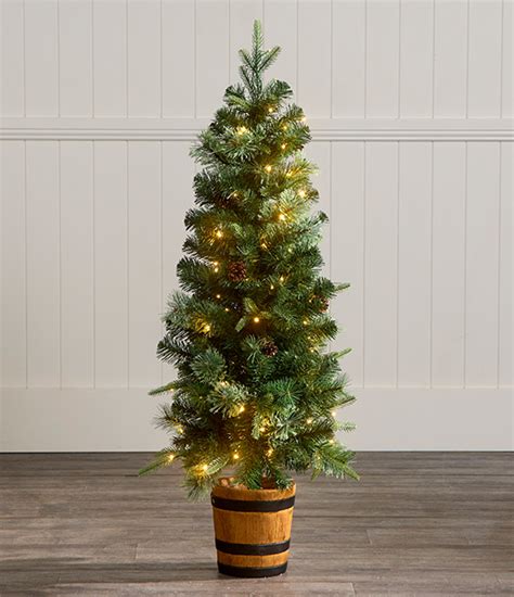 Image result for Potted Christmas Tree 4Ft Tall