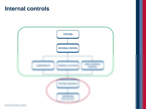 Internal Control Flow Chart に対する画像結果
