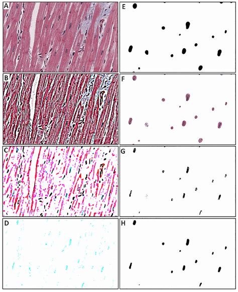Image result for Image Processing Sample