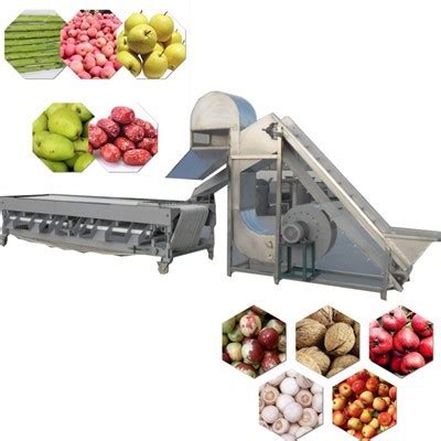 Image result for Sorting Pomegranate Machine