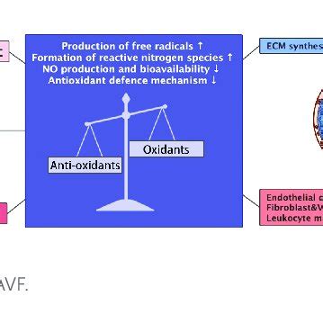 Image result for AVF Formation