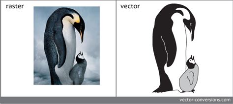 Image result for Online Convert Bitmap to Vector