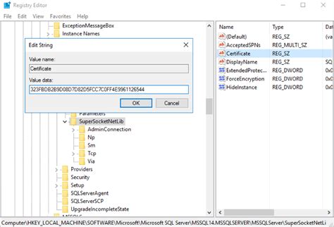 Image result for SQL Management Studio SSL
