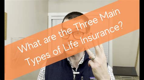 Image result for Three Main Types of Life Insurance