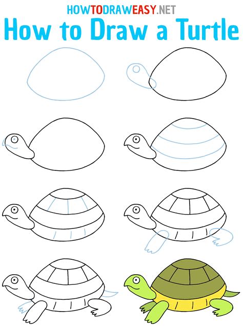 Toradh íomhá ar Turtle Drawing Step by Step