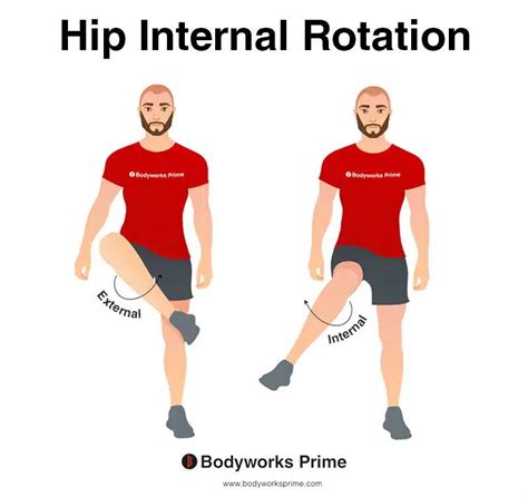Image result for Internal Rotation