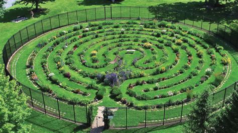 Image result for Log Labryinth