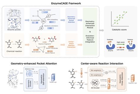Afbeeldingsresultaten voor encoding specific