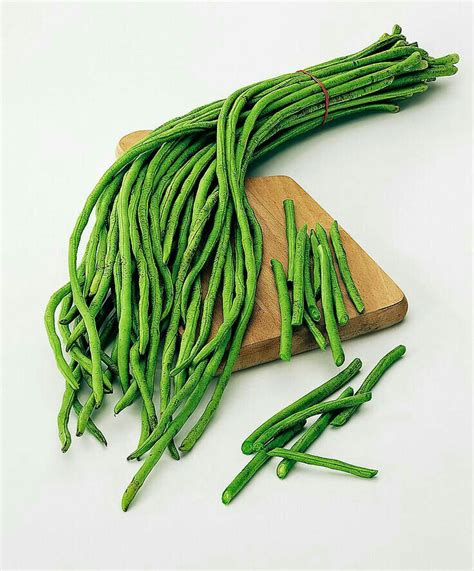 Growing Half Runner Beans に対する画像結果
