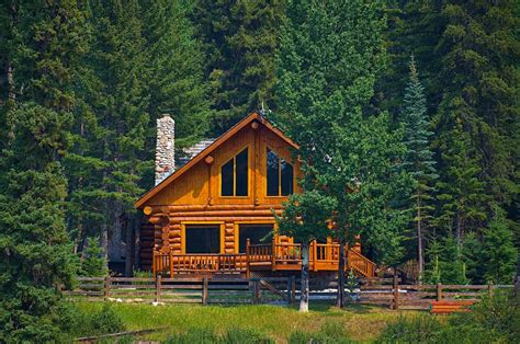 Image result for How Do You Build a Cabin
