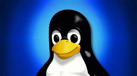 Image result for Linux Penguin Windows Logo