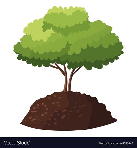 Image result for Free Green Tree Vector