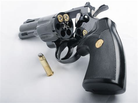 Image result for The Roger Python Revolver