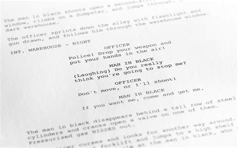 Toradh íomhá ar Long Shot Screenplay Example