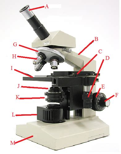 Toradh íomhá ar Slide Moving Knobs Microscope