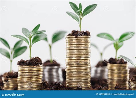 Image result for Growth Zone Addiction PDF