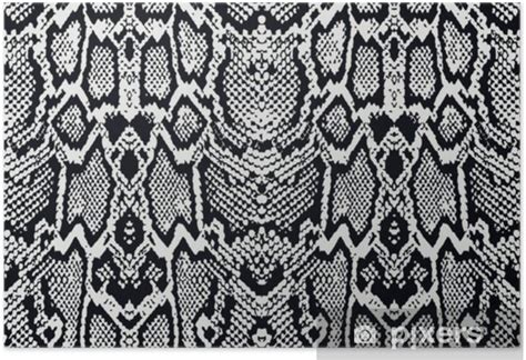 Image result for Python Skin White Background