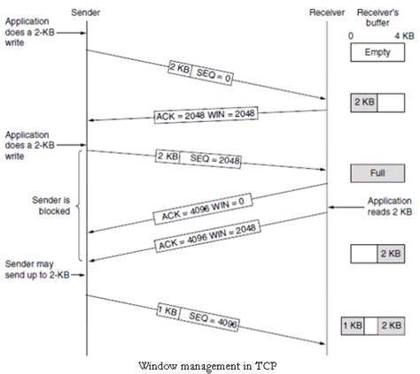 Tcp Window に対する画像結果