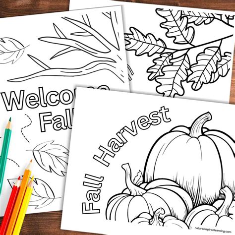 Fall Tree Coloring Pages Printable 的图像结果
