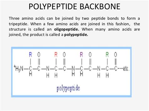 Toradh íomhá ar Protein Backbone Structure Formula