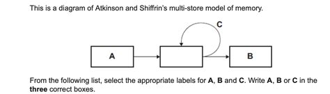 Image result for Multi-Store Model of Memory