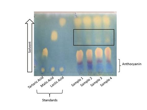 Image result for Malolactic Fermentation Chromatography