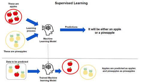Afbeeldingsresultaten voor Diagram Untuk Supervised Learning Machine Learning PNG Dengan 4 Output
