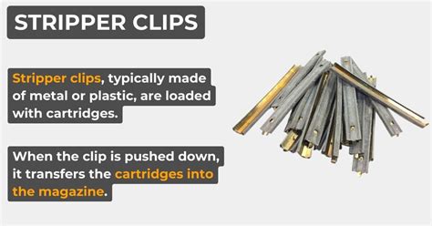 Image result for Clip vs Magazine Examples