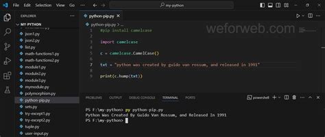 Simple PIP Code に対する画像結果