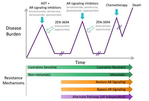 Image result for Progression Model of Prostate Cancer