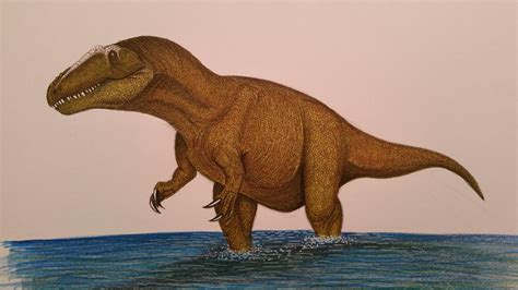 Image result for Siats