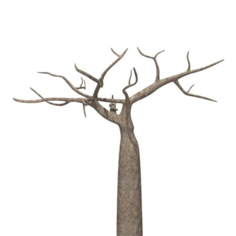 Toradh íomhá ar Baobaba Tree with Animals