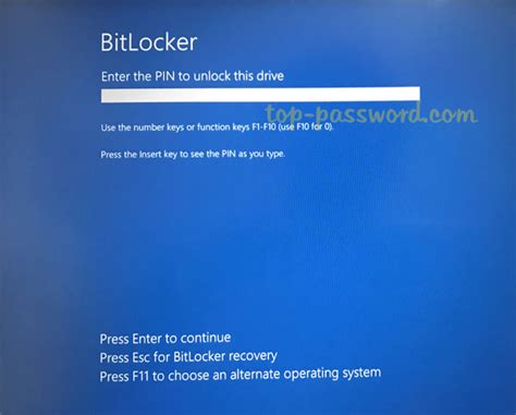 Image result for BitLocker Bios Boot Screen