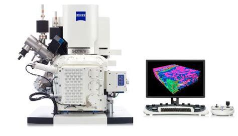 Zeiss Scanning Electron Microscope に対する画像結果