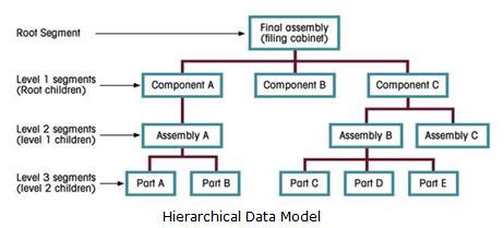 Image result for Example of Hierarchical Database