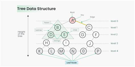 Image result for Tree Terminology Data Structure