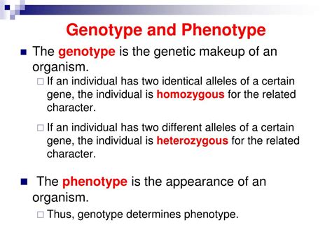 Image result for Genotype and Phenotype Interaction Diagram